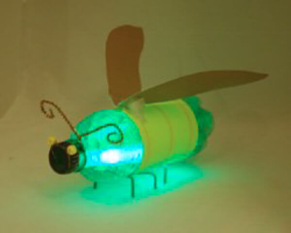 Recycled Plastic Bottle Insects Craft