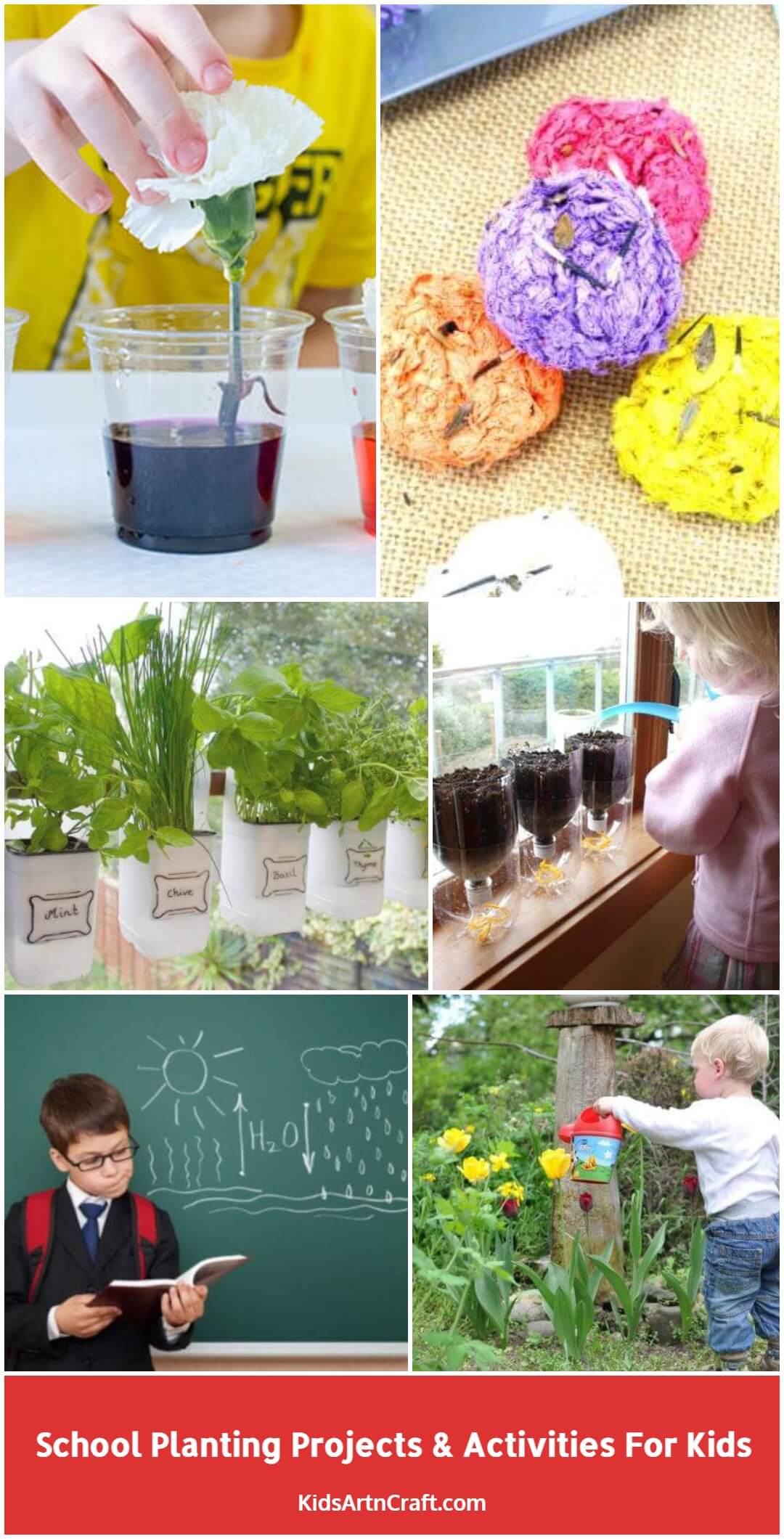 School Planting Projects & Activities For Kids