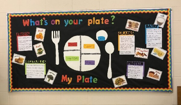 Lesson Plans For Nutrition Month On Bulletin Board Science Bulletin Boards & Classroom Decor Ideas