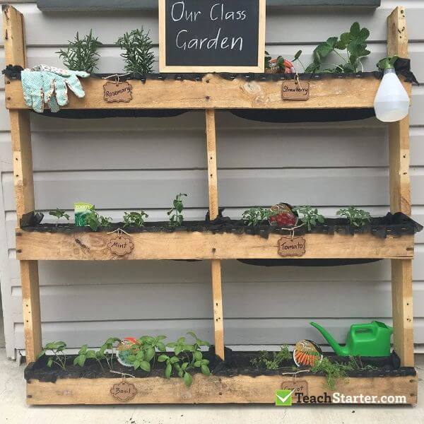Simple DIY Classroom Garden Ideas School Planting Projects & Activities For Kids