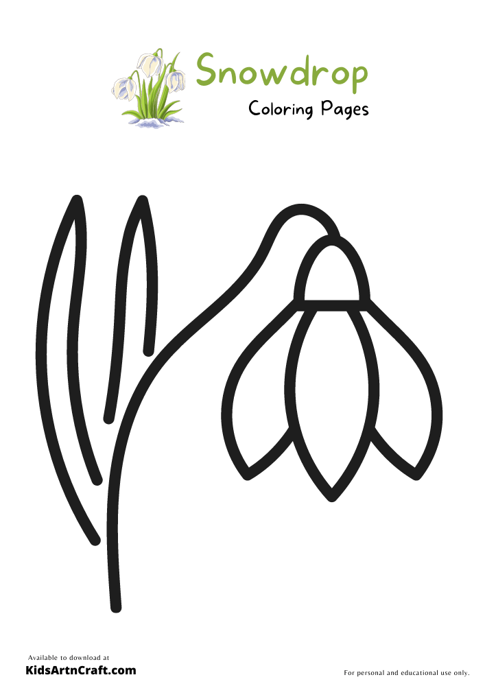 Snowdrop Coloring Pages For Kids – Free Printables