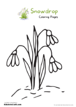 Snowdrop Coloring Pages For Kids – Free Printables - Kids Art & Craft