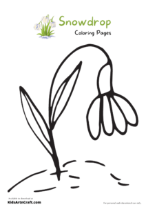 Snowdrop Coloring Pages For Kids – Free Printables - Kids Art & Craft