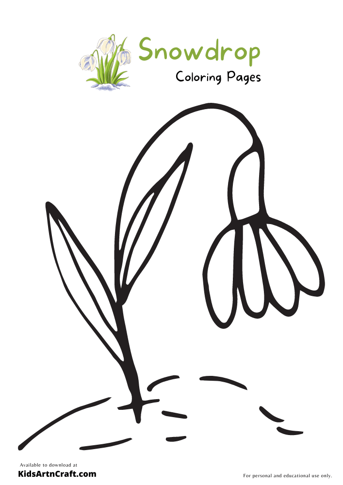 Snowdrop Coloring Pages For Kids – Free Printables