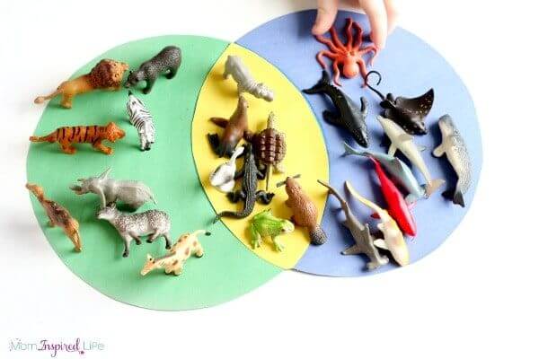 Animal Habitat Projects for Kids - Kids Art & Craft