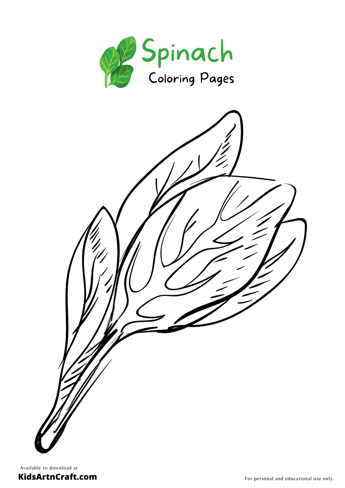 Spinach Coloring Pages For Kids – Free Printables