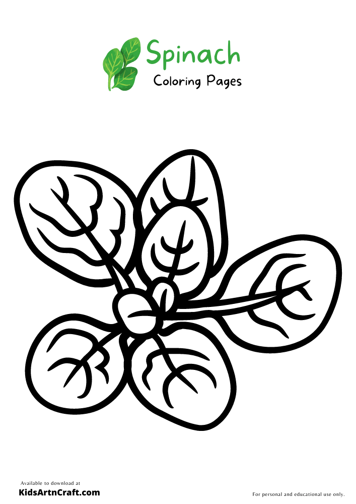 Spinach Coloring Pages For Kids – Free Printables