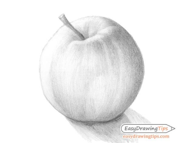 Step By Step Apple Sketch Tutorial Apple Drawing & Sketches for Kids