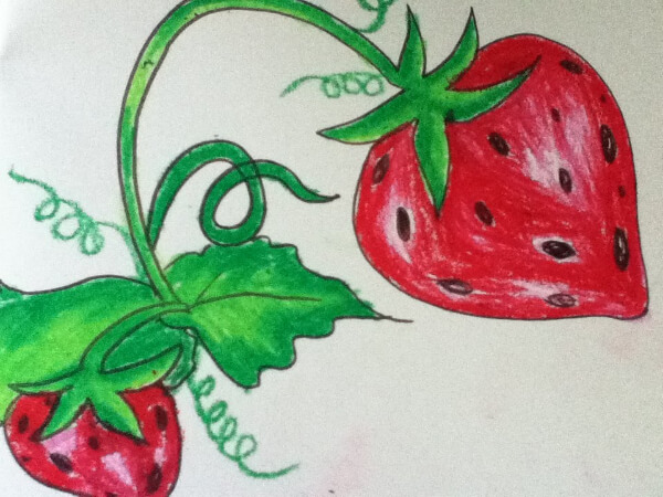Step By Step Strawberry Drawing For Kids