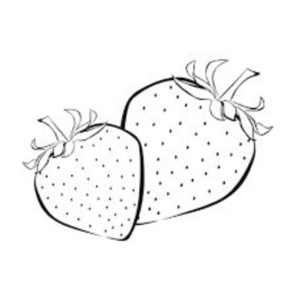 Strawberry Drawing & Sketch for Kids Easy Strawberry Pencil Drawing