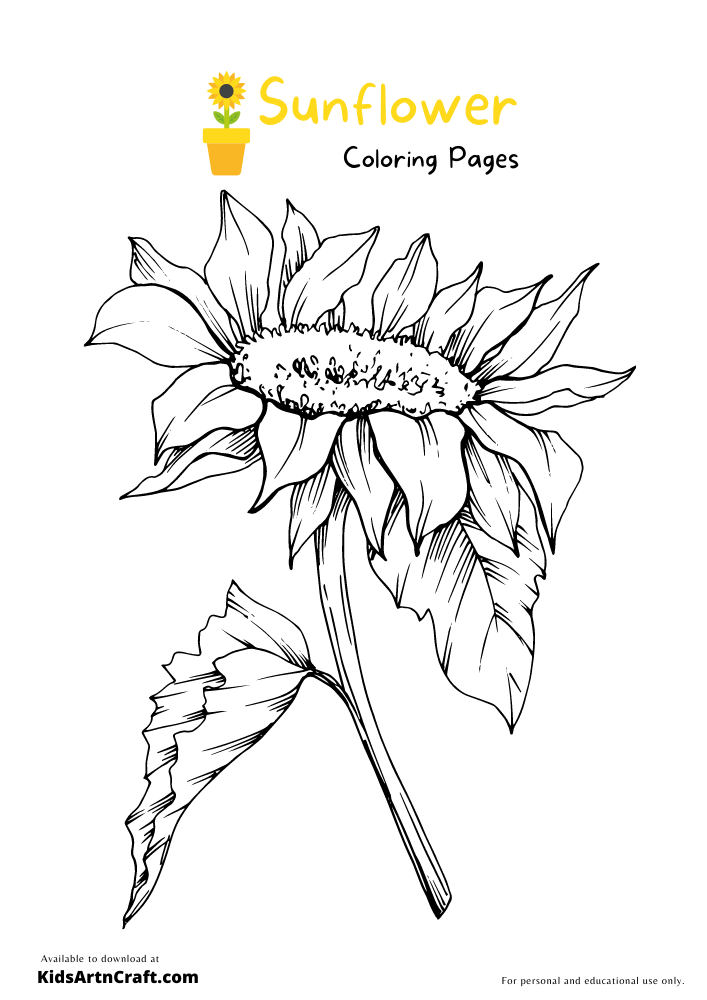 Sunflower Coloring Pages For Kids – Free Printables