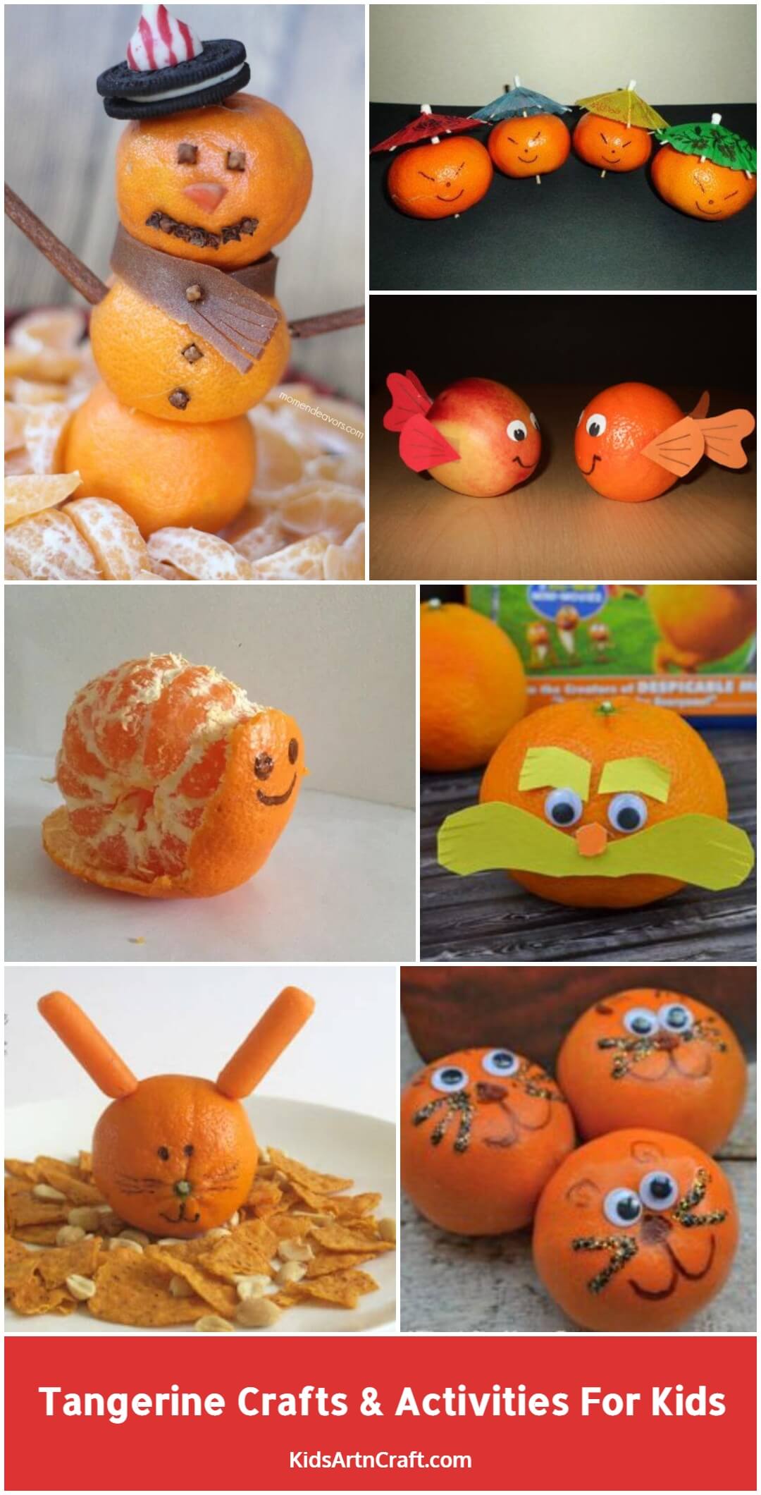 Tangerine Crafts & Activities For Kids