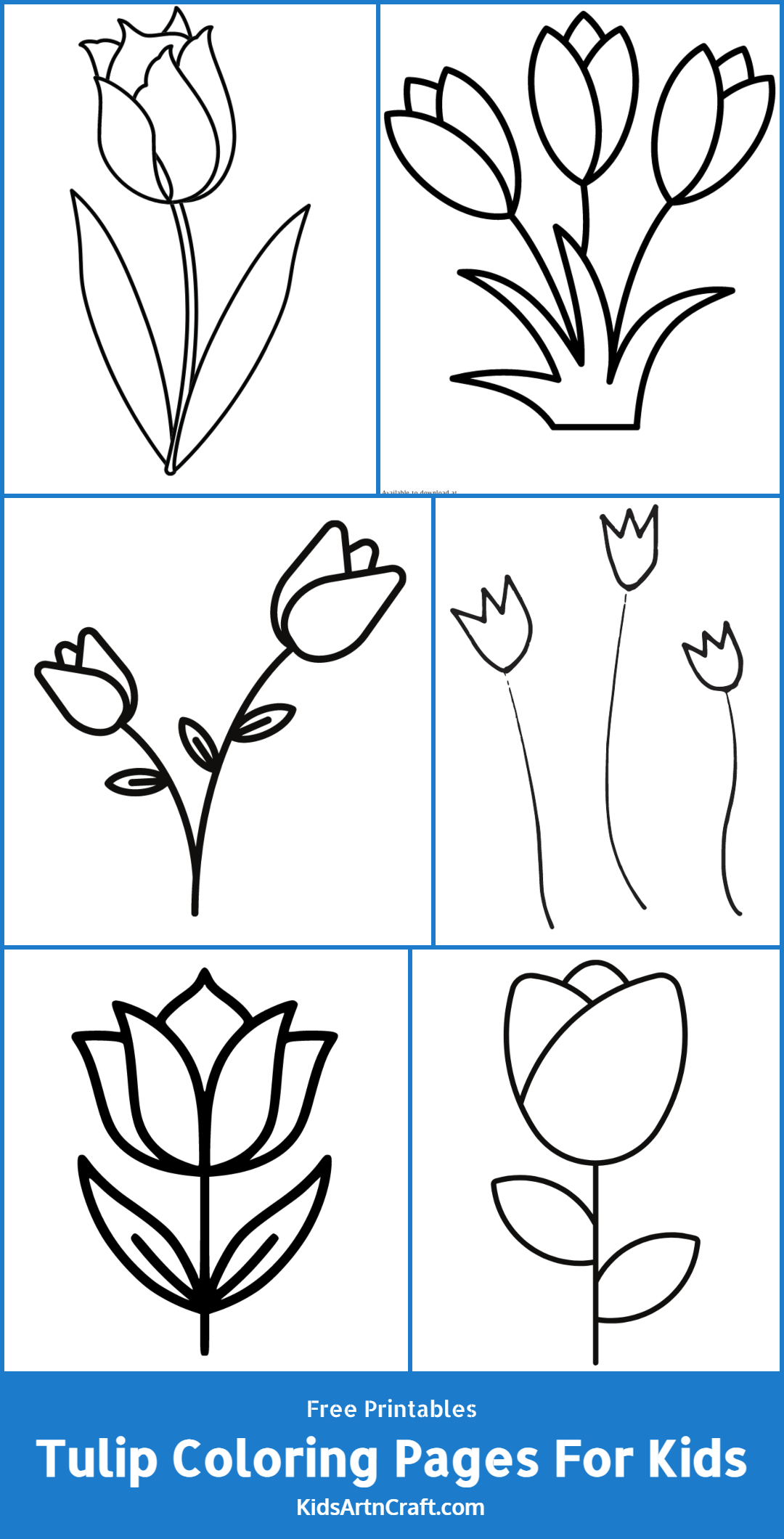 Tulip Coloring Pages For Kids – Free Printables