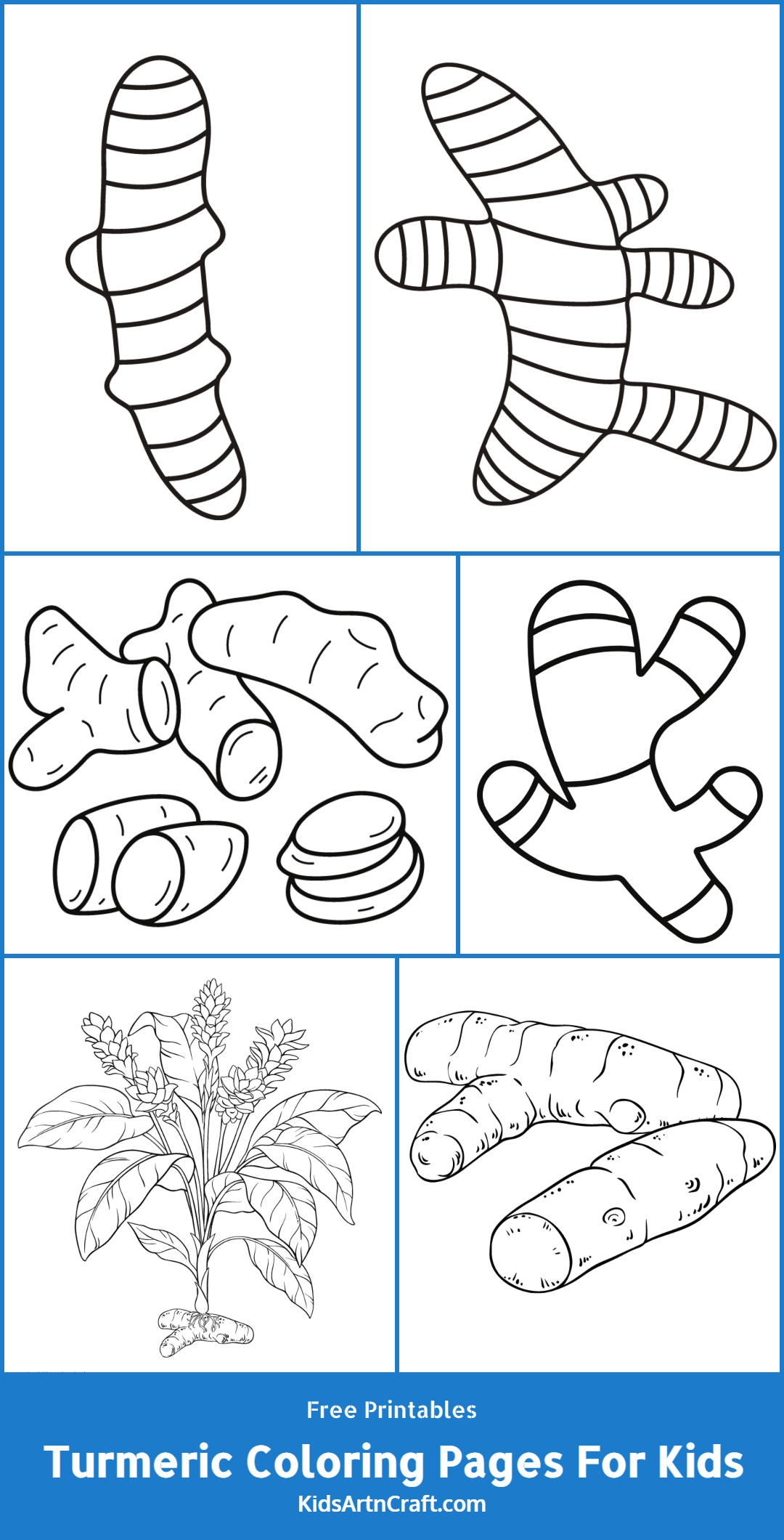 Turmeric Coloring Pages For Kids – Free Printables