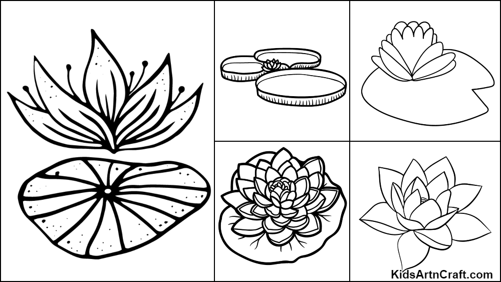 Water Lily Coloring Pages For Kids – Free Printables