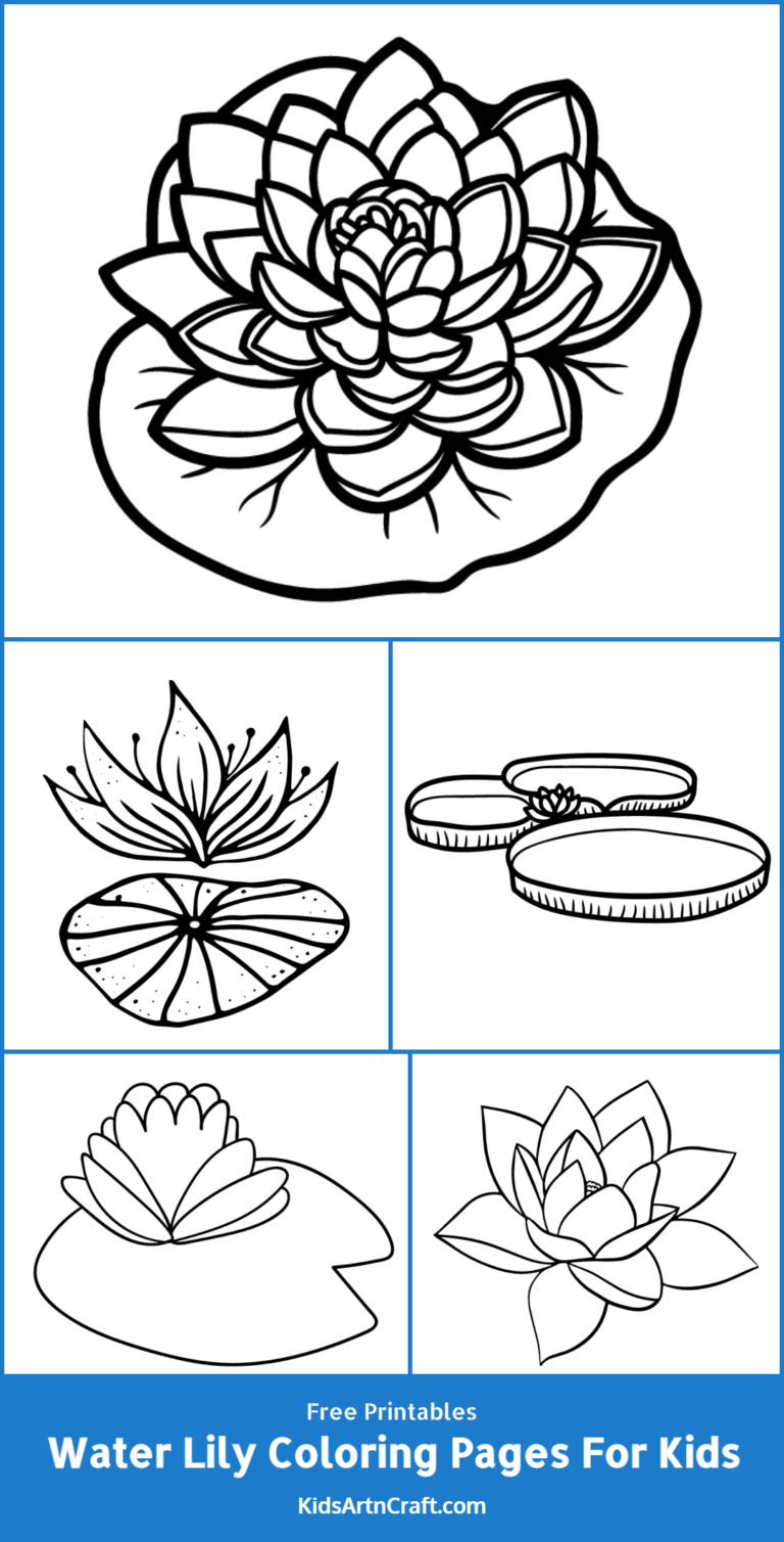 Water Lily Coloring Pages For Kids Free Printables Kids Art & Craft