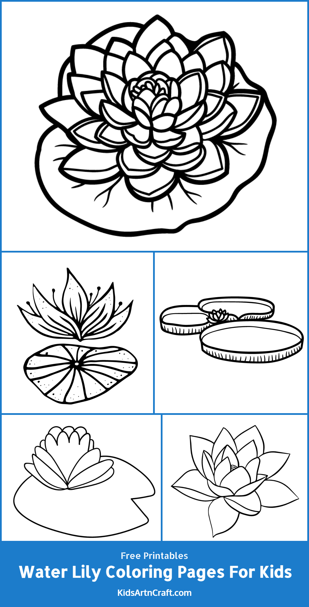 Water Lily Coloring Pages For Kids – Free Printables