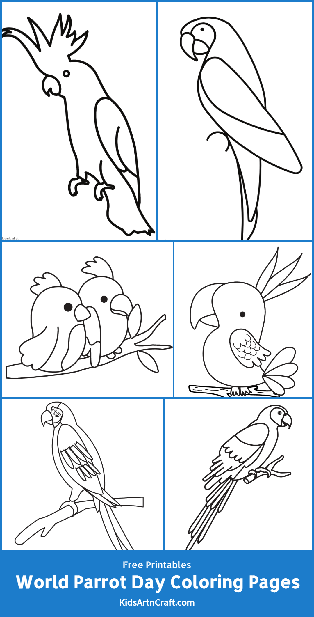 World Parrot Day Coloring Pages For Kids – Free Printables