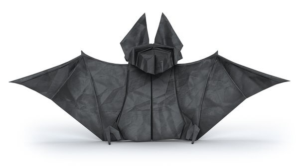3D Origami Bat Craft Activities How To Make An Origami Bat With Kids