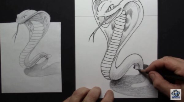 Snake Drawing & Sketches for Kids 3D Snake Drawing With Pencil For Kids