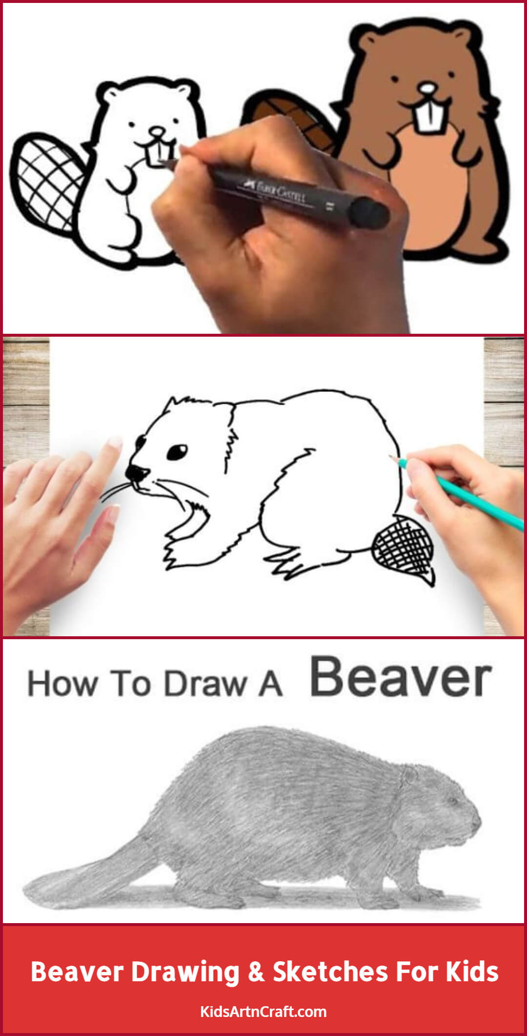Beaver Drawing & Sketches For Kids