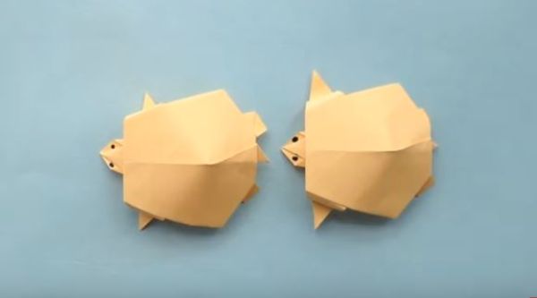 How To Make Simple Origami Turtle Craft For Kids