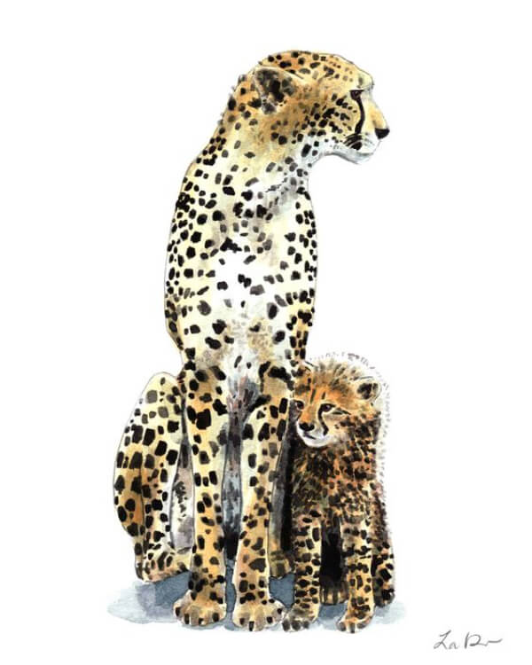 Cheetah Paintings for Kids Adorable Cheetah Animal Painting Using Watercolor