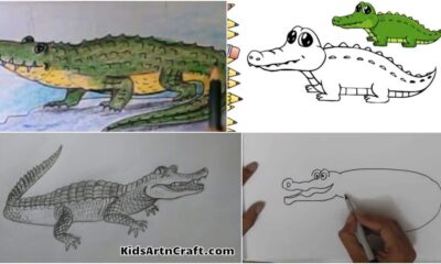AlIigator Drawing & Sketches for Kids