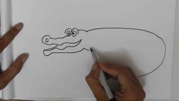 Alligator Drawing Easy Step For Beginners