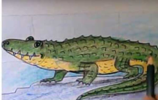 Alligator Drawing & Sketch Step By Step For kindergartner