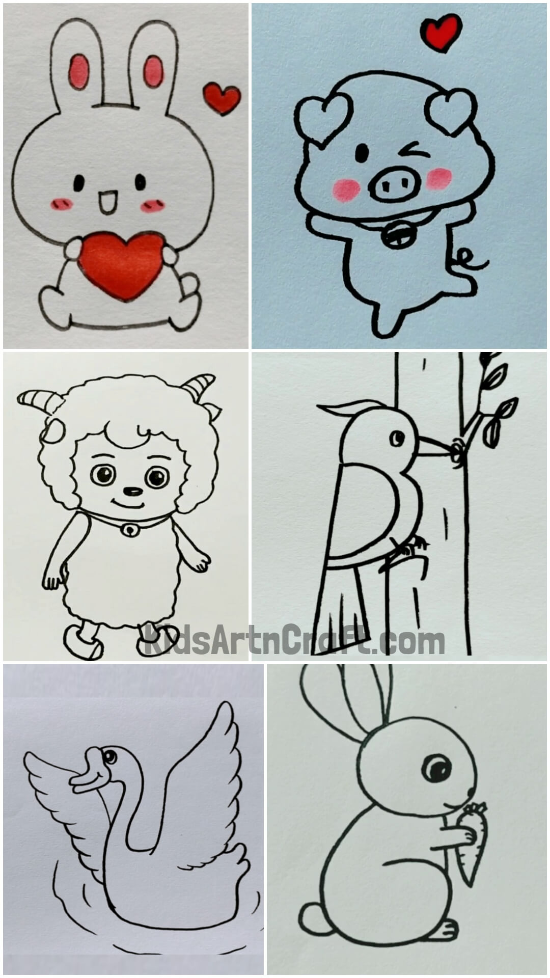 Animal Drawing Ideas & Tips