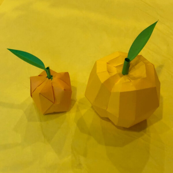 Apricot Paper Craft Model