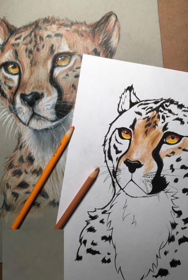 Awesome Cheetah Coloring Page Activity For Kids