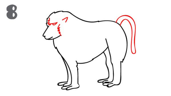 Baboon Drawing & Sketch For Preschoolers