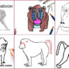 Baboon Drawing & Sketches For Kids