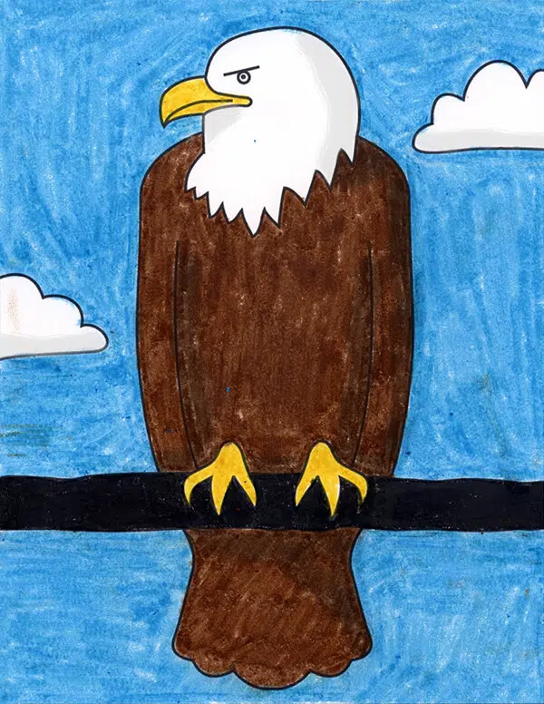 Eagle Drawing & Sketches For Kids Bald Eagle Drawing With Color
