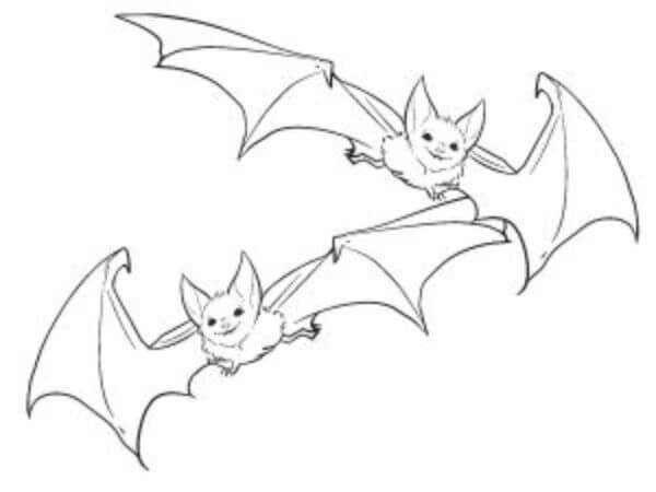Bat Drawing Sketches Coloring Pages For Kids