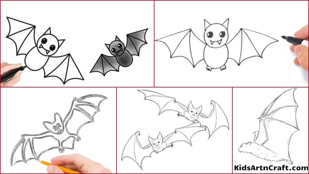 Bat Drawing & Sketches For Kids