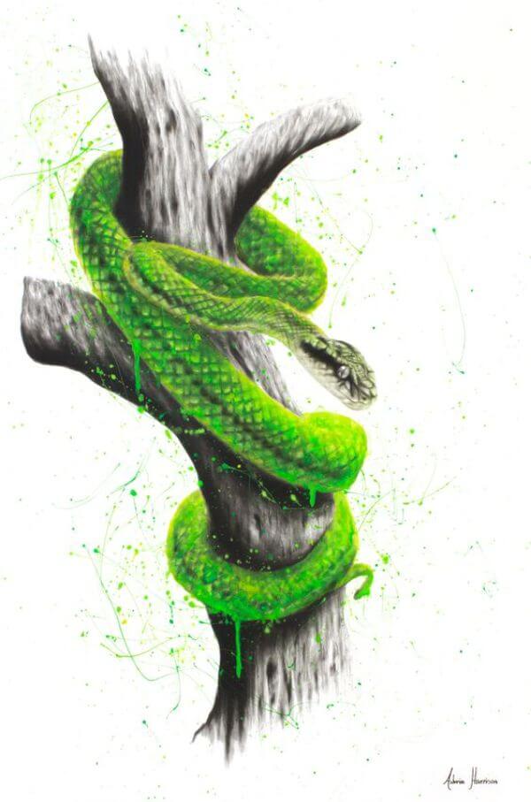 Beautiful Snake Art Painting On Canvas For KIds