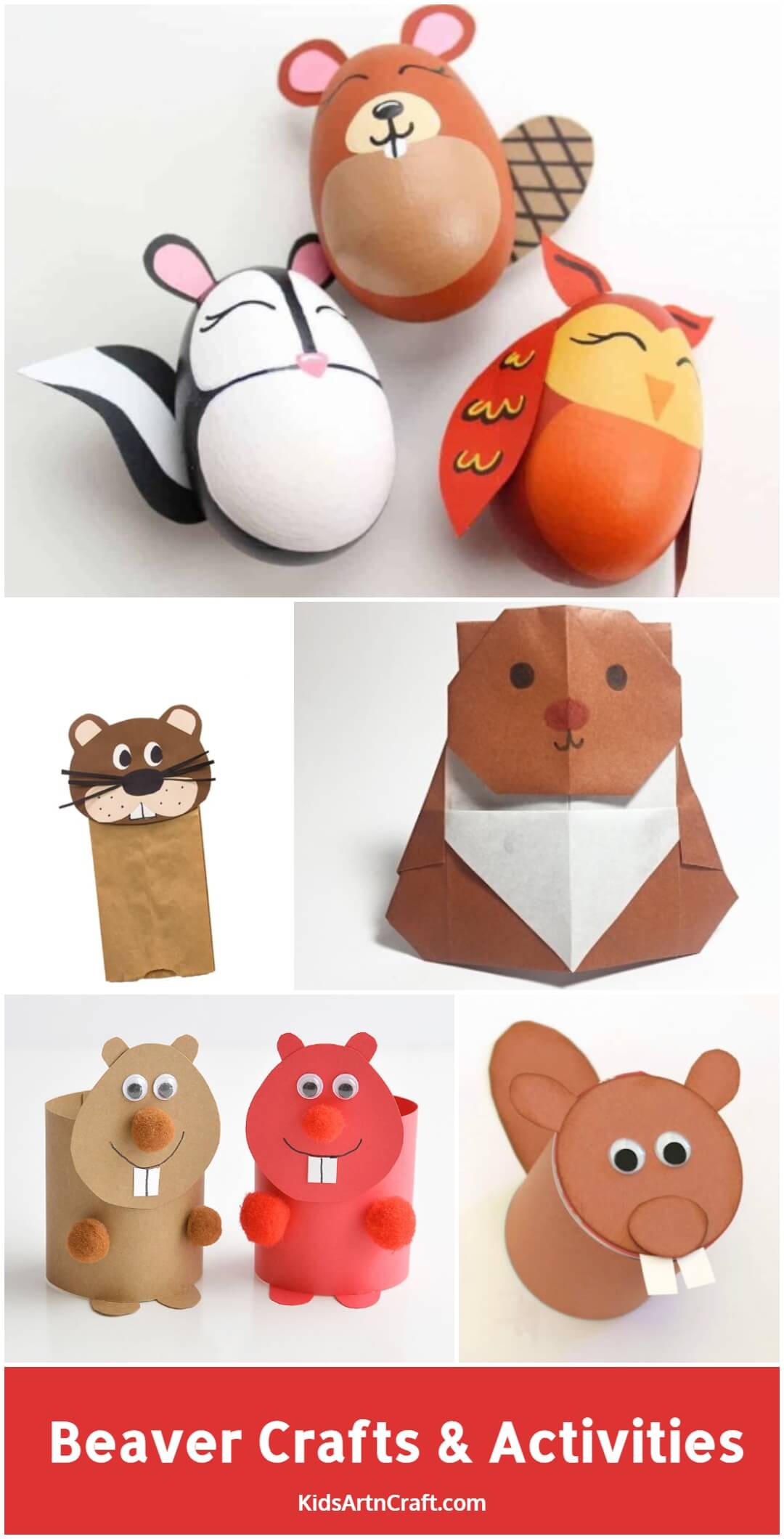 Beaver Crafts & Activities for Kids