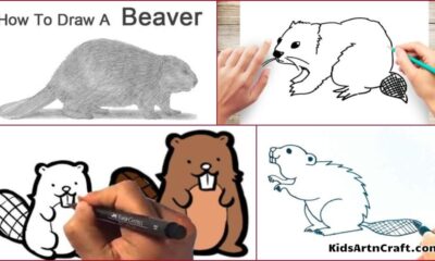 Beaver Drawing & Sketches For Kids