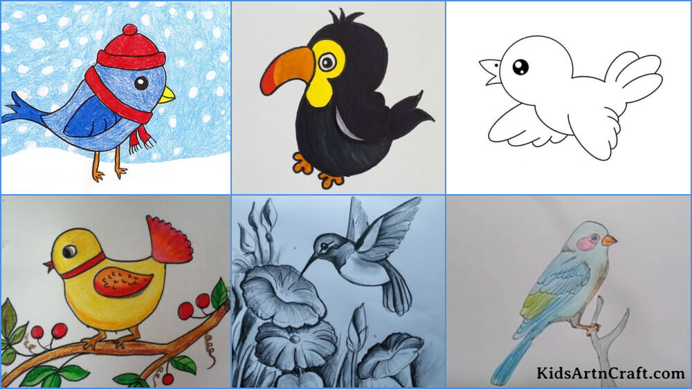 Bird Drawings & Sketches For Kids - Kids Art & Craft