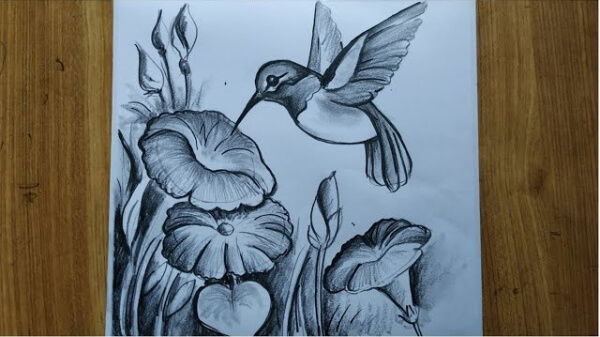 Bird & Flower Pencil Sketch For Kids