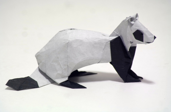 Black-Footed Ferret Craft For Kids How To Make An Origami Ferret With Kids