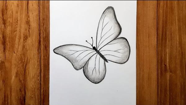 Butterfly Drawing & Sketches For Kids Butterfly Pencil Sketch For Kids