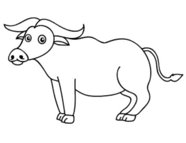 Cartoon Buffalo Drawings & Sketches for kids
