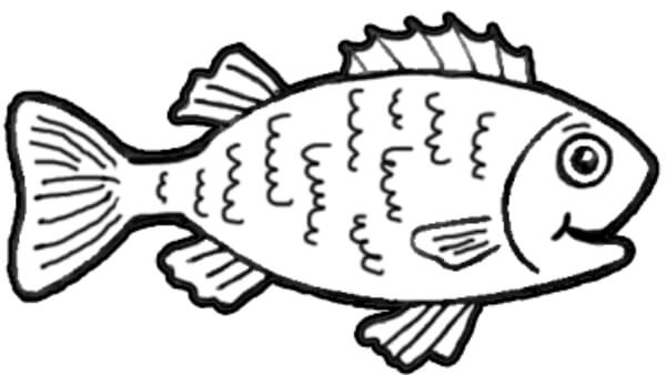 Fish Drawing & Sketches For Kids Cartoon Fish Drawing Tutorial