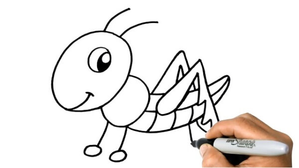 Cartoon Grasshopper Drawing For Kids