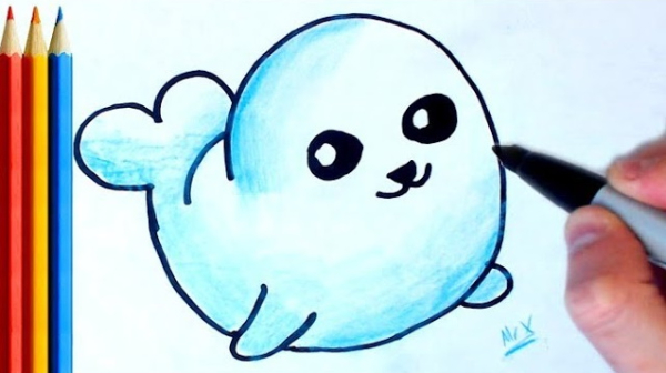 Cartoon Seal Drawing For Kids