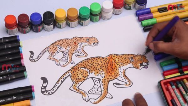 Cheetah Drawing Tutorial For Preschooler